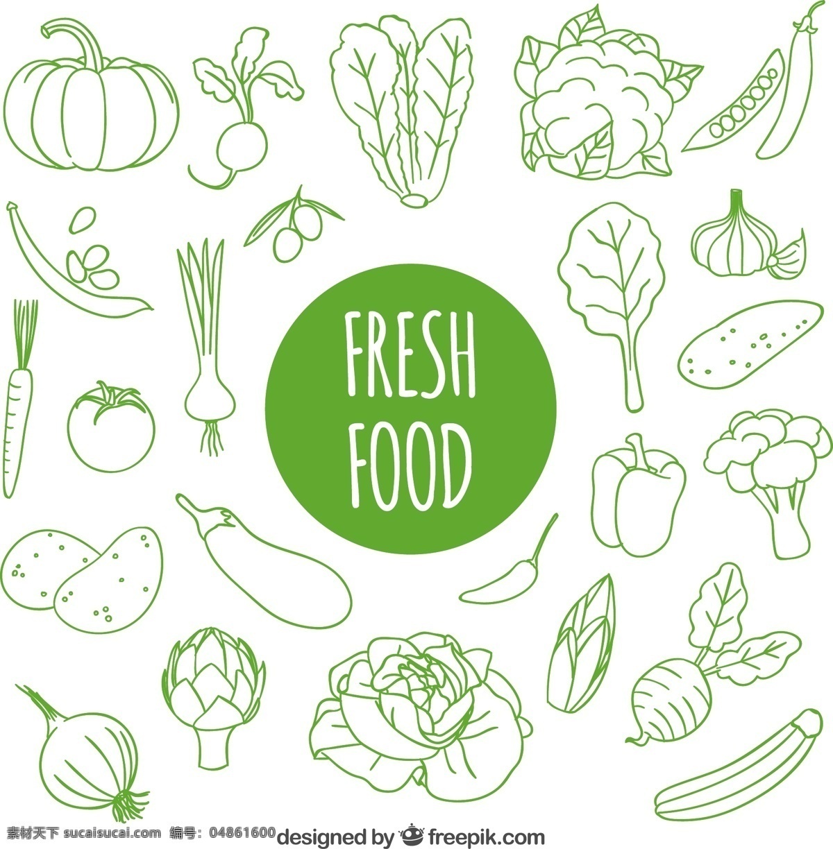 手拉新鲜食物 食物方面 绿色 健康 水果 蔬菜 手工绘制的 有机的 绘画 健康食品 新鲜 手工绘图 绘制 有机食品 粗略 白色