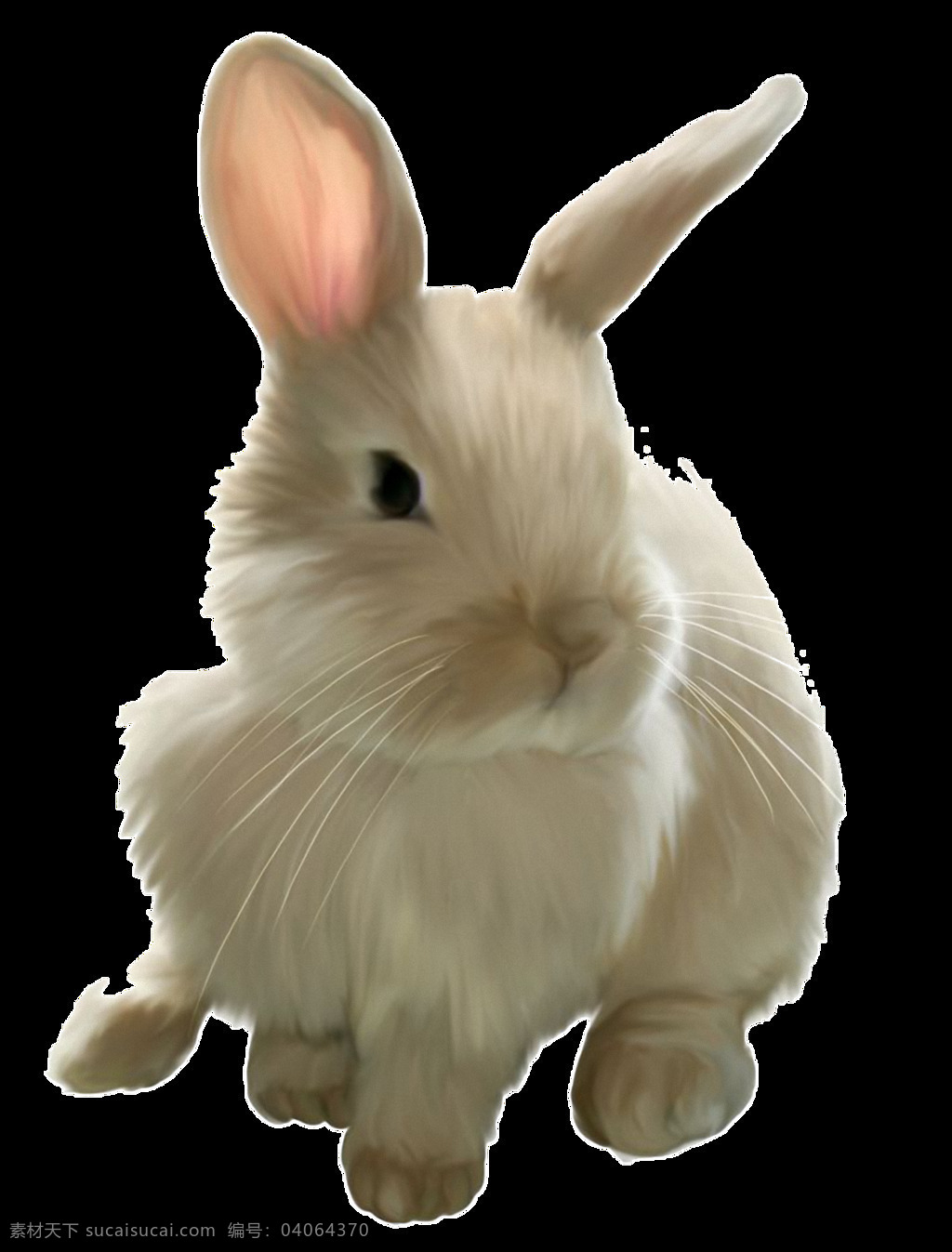 可爱 白 毛 兔子 免 抠 透明 可爱白毛兔子 可爱小白兔 超 萌 小 可爱小兔子 萌兔子 可爱兔子 兔子素材