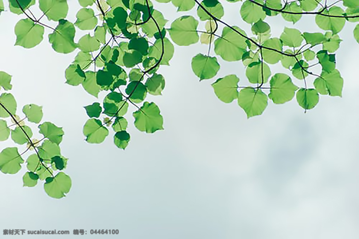 小清新背景 背景 旅游 天空 拍照 蓝色 红色 白色 黑色 自然 小清新 好看 底纹边框 背景底纹