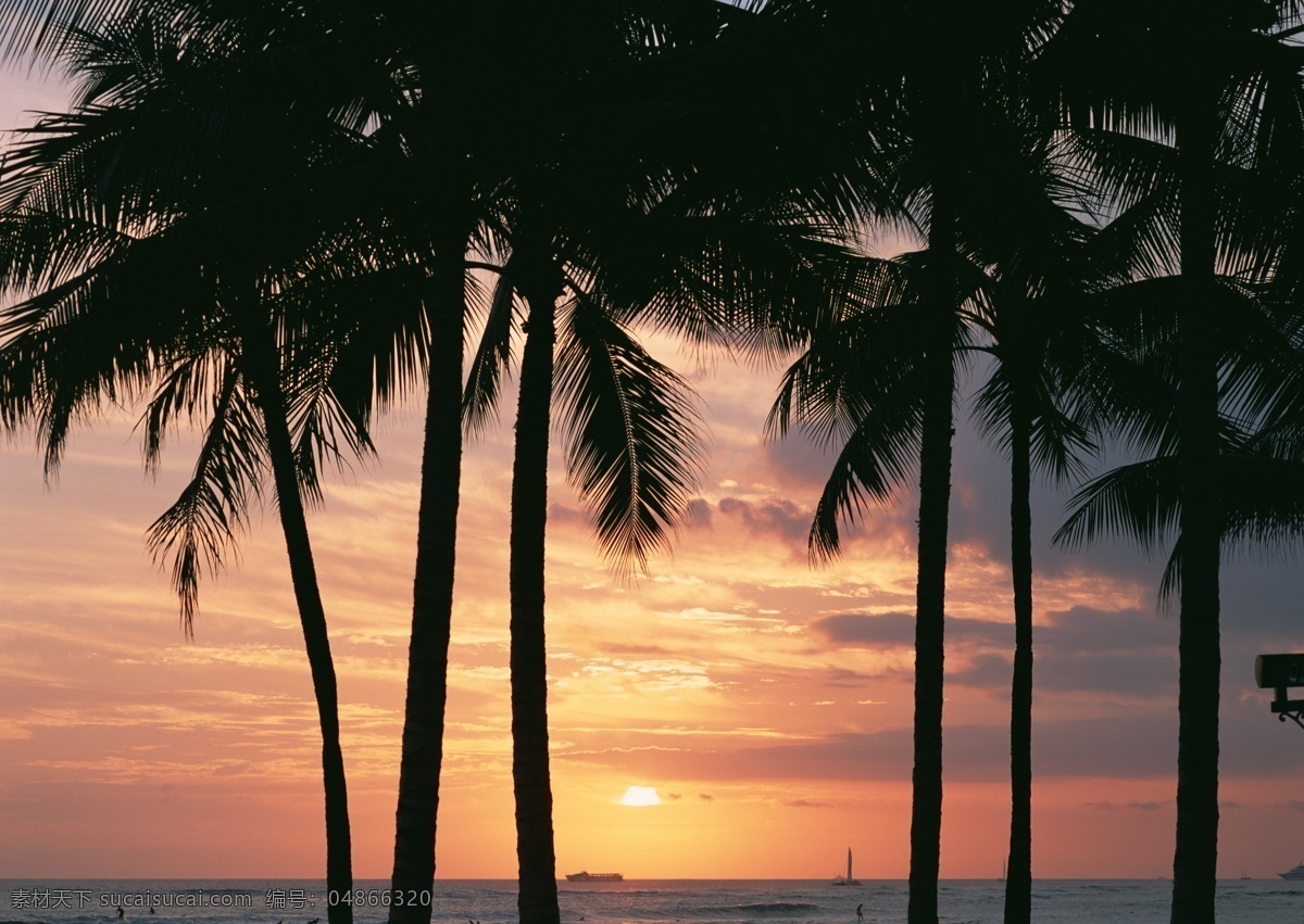 黄昏 海边 椰树 傍晚 海边风景 天空 日落 落日 晚霞 夕阳红 树木 海洋 美景 自然 高清图片 大海图片 风景图片