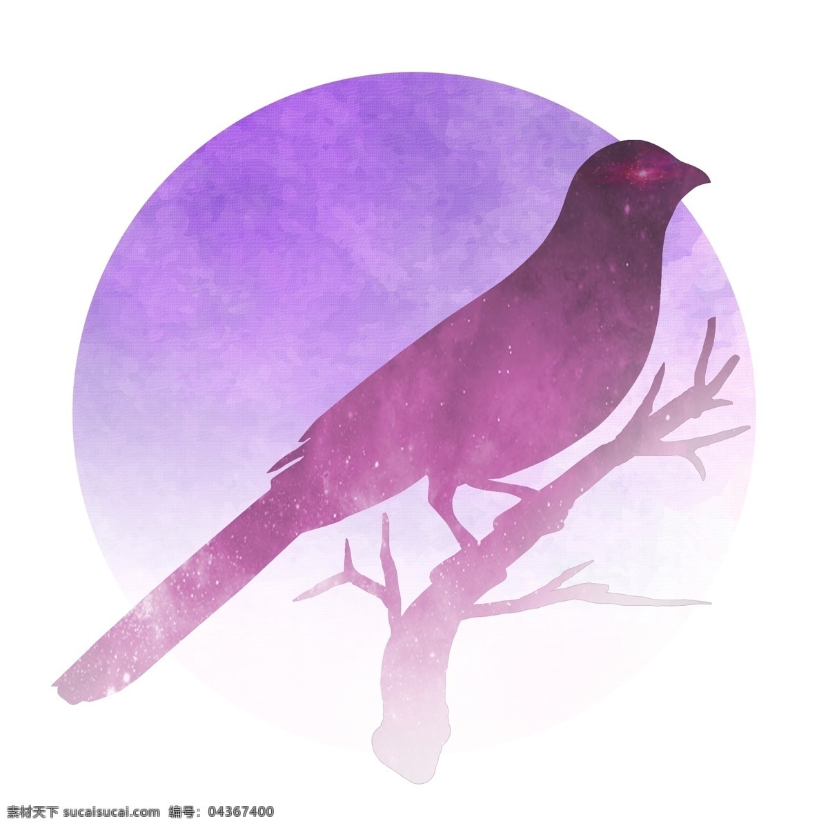 紫红色 暗 夜鸟 商用 元素 紫色 淡红色 鸟 树枝 可商用