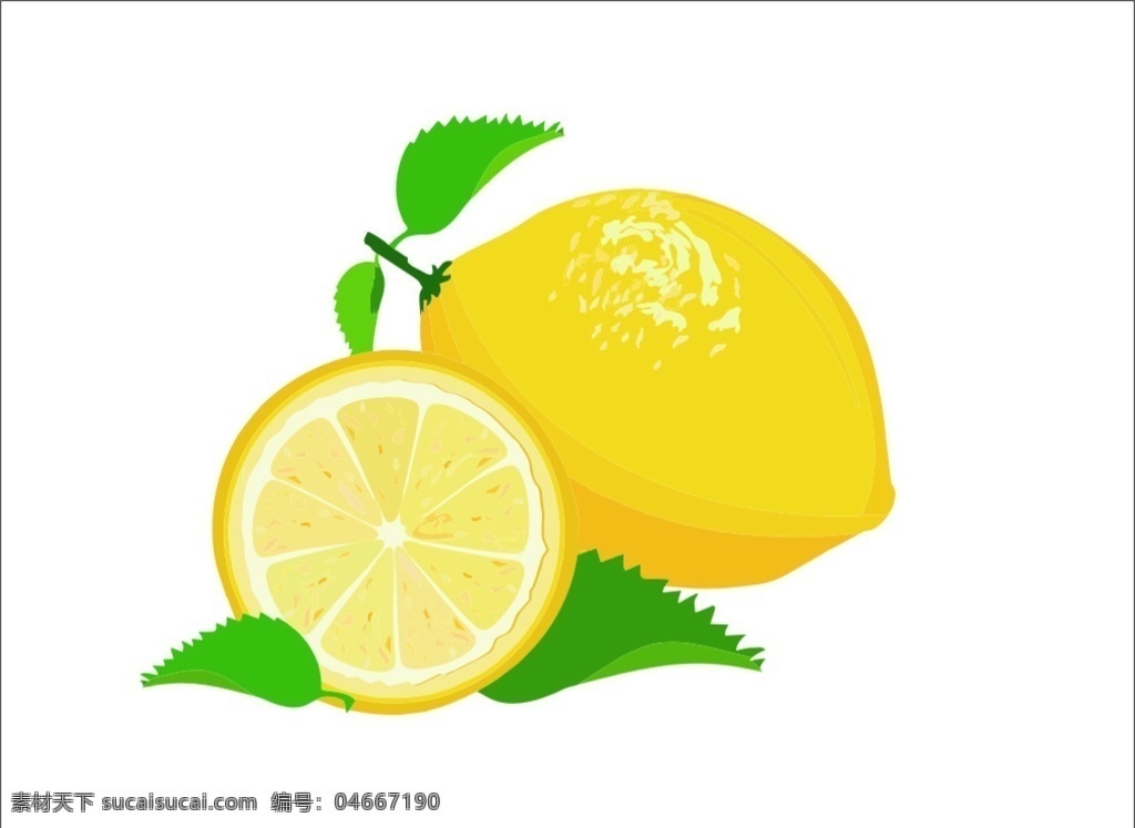 矢量柠檬 柠檬 水果 酸甜 新鲜水果 矢量水果 矢量图 青桔 黄柠檬
