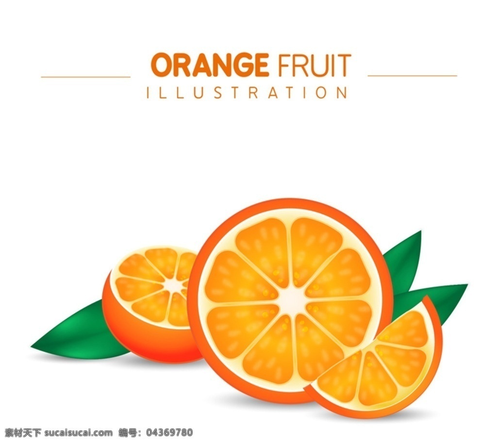 切开 新鲜 橙子 水果