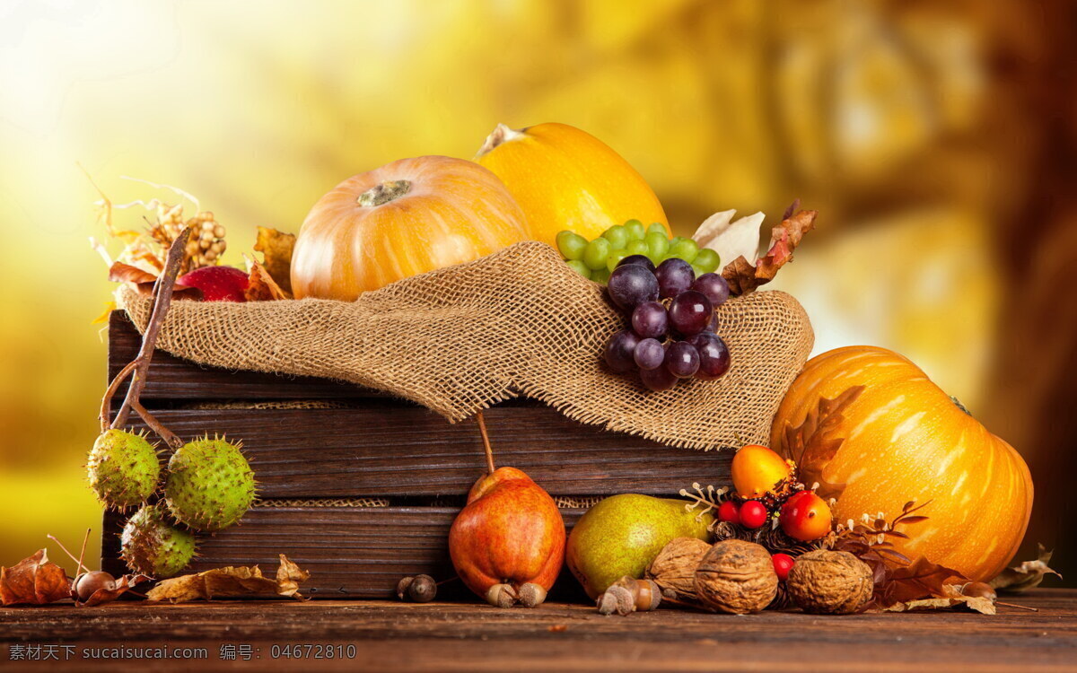 秋天 新鲜 水果 集合 水果集合 秋天气氛 秋天水果 高清jpg 餐饮美食 食物原料