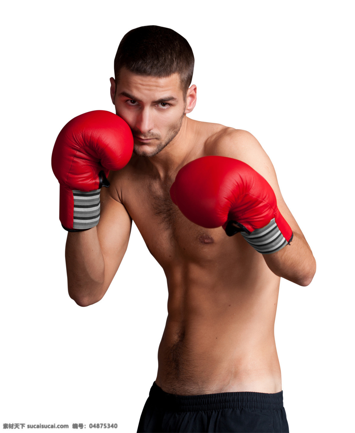 拳击 健身 男人 运动 外国男人 拳击人物 拳击健身 拳击手套 生活人物 美容健身 生活百科