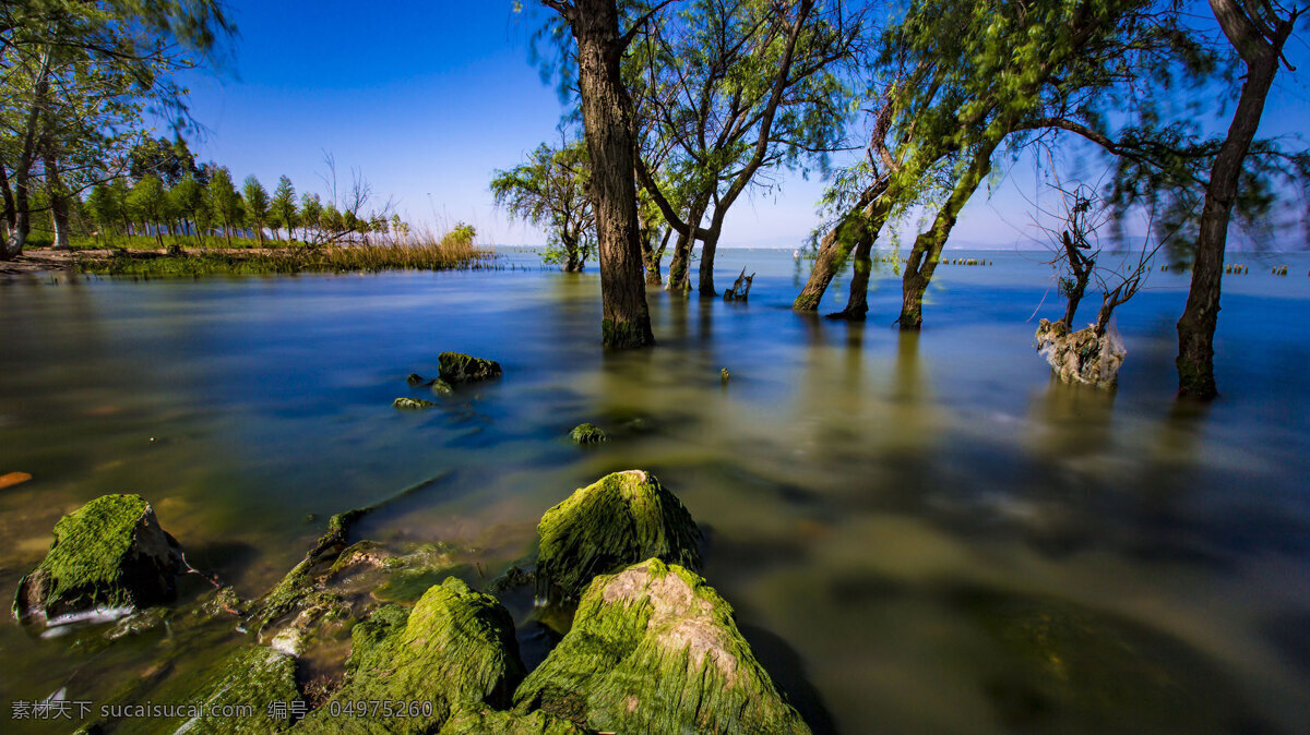 昆明 捞 鱼 河 湿地 公园 高清 自然风光 2k 捞鱼河 湿地公园 风景 自然景观 风景名胜