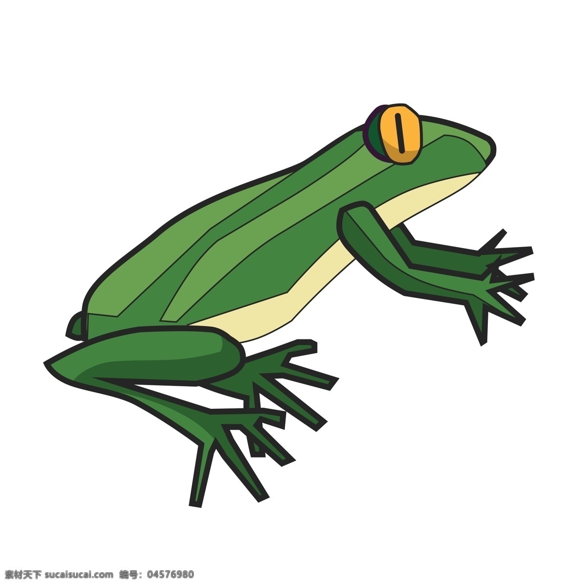 只 准备 起跳 青蛙 商用 元素 绿色 动物 绘画 黄色眼睛 爪子