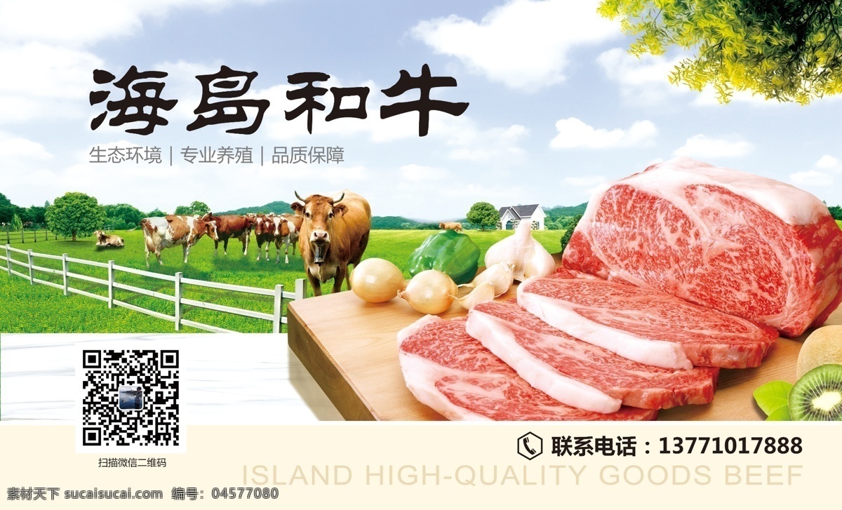 牛 牛肉 包装 贴纸 图 和牛 草原 牧场 海报