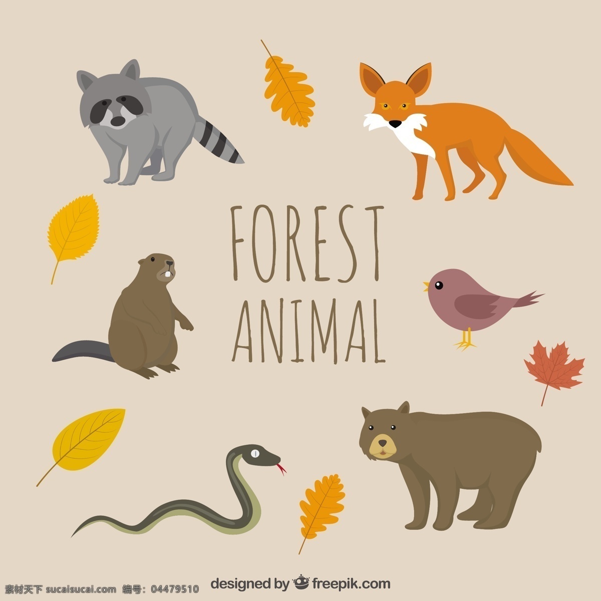只 手 拉 森林 动物 带 秋天 树叶 鸟 自然 秋季 手工绘制 可爱 熊 图 狐狸 蛇 可爱动物 画 秋 野 季节 粉色