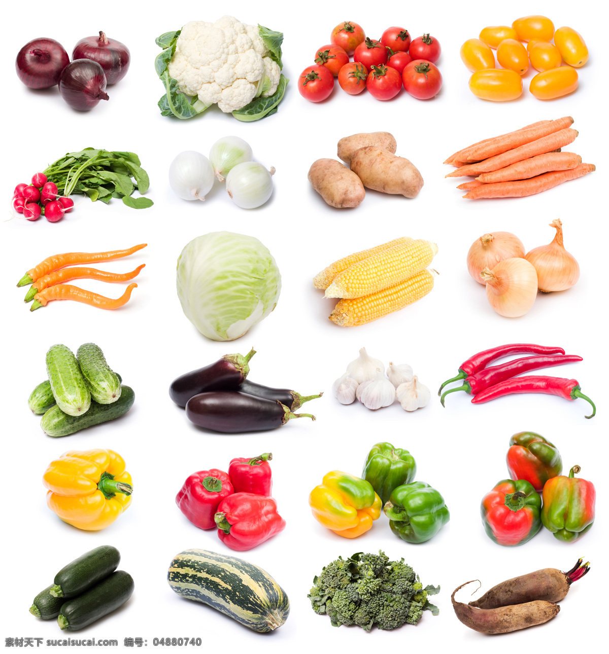 蔬菜背景素材 白菜 玉米 萝卜 辣椒 花菜 蔬菜 绿色蔬菜 新鲜蔬菜 蔬菜背景 水果蔬菜 餐饮美食 白色