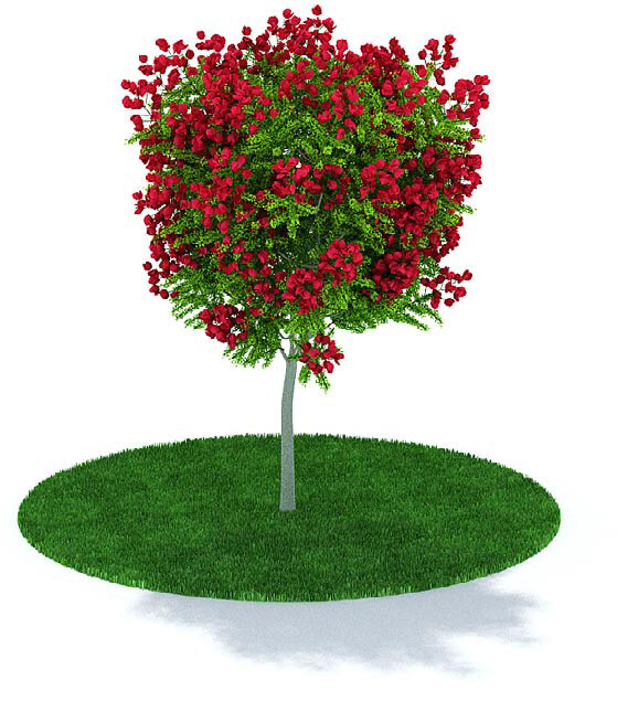 精美 红花 绿树 3d 模型 绿叶 绿色 3d模型 3d渲染 树 模型素材