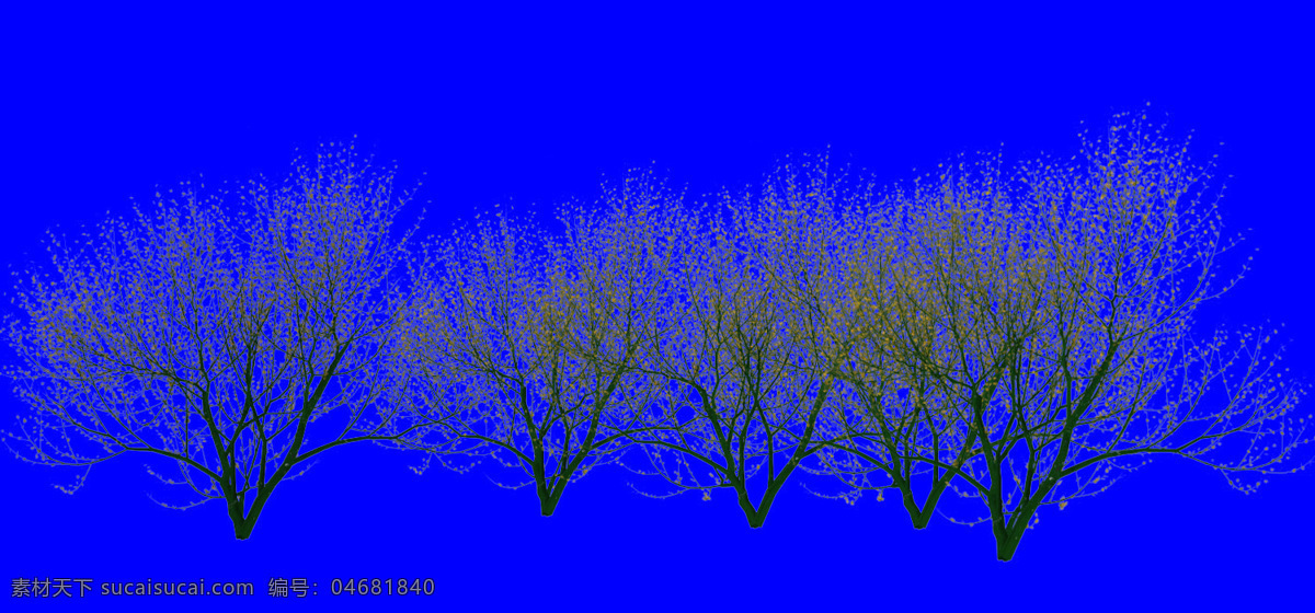 棵 树群 植物 多棵 树丛 配景素材 园林植物 园林 建筑装饰 设计素材 蓝色