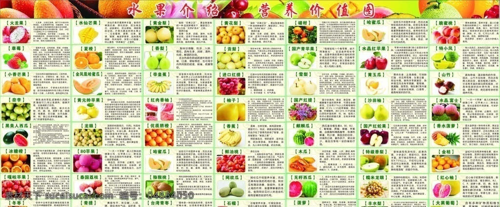 水果 营养 价值 简介 水果简介营养 水果营养价值 水果简介 营养价值 高清水果