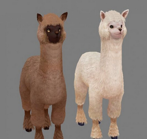羊 驼 模型 3d模型 羊驼模型 动物模型 3d模型素材 其他3d模型