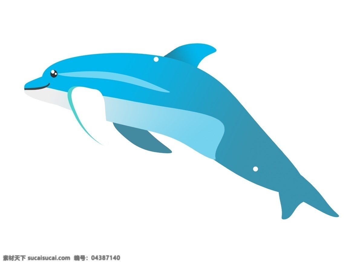 蓝色海洋海豚 海豚 动物 海洋