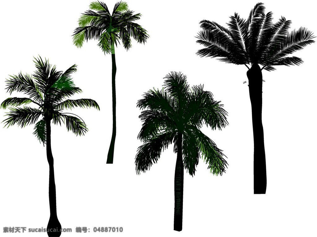 棕榈树 绿色 氧气 环保 美丽