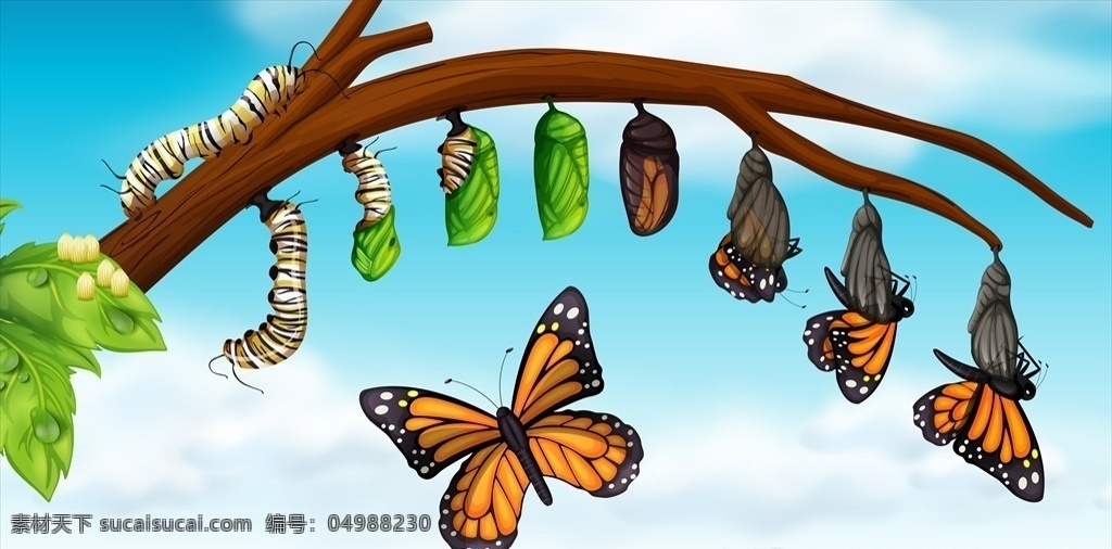 卡通昆虫图片 卡通昆虫 生命周期 进化 退化 演变 虫子 发展 生物 学科 卡通动物生物 生物世界 昆虫