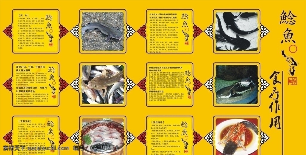 鲶鱼食疗价值 鲶鱼 食疗价值 展板模版 餐饮 菜单菜谱 矢量