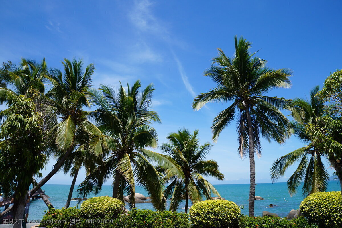 海南风景 海南景观 海南海滨 海南 海南旅游 海南海景 海滨 海景 风景画 风景区 旅游区 海南景点 椰树 热带风景 热带植物 绿色风景 绿水蓝天 蓝天白云 绿植 大自然 自然风景 自然界 风景名胜 自然景观