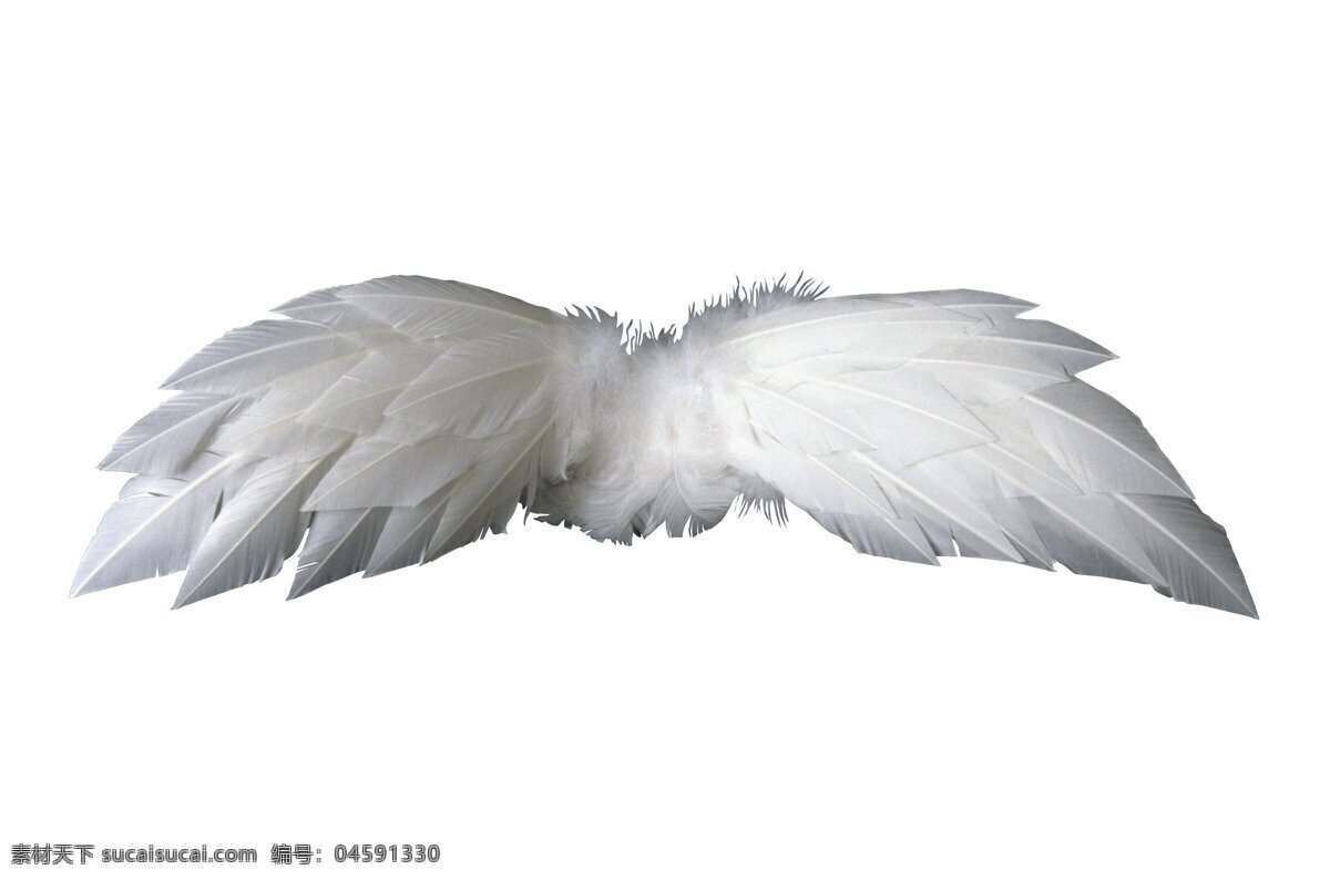 天使 翅膀 鸟类 摄影图库 生物世界 天使的翅膀 信仰 宗教 psd源文件