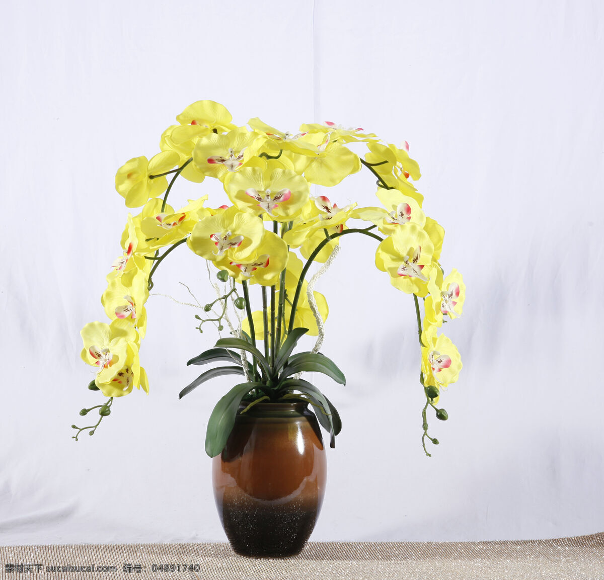 黄色花盆栽 植物 花 装饰品 欧式 饰物 静物摄影 家居装饰 花瓶