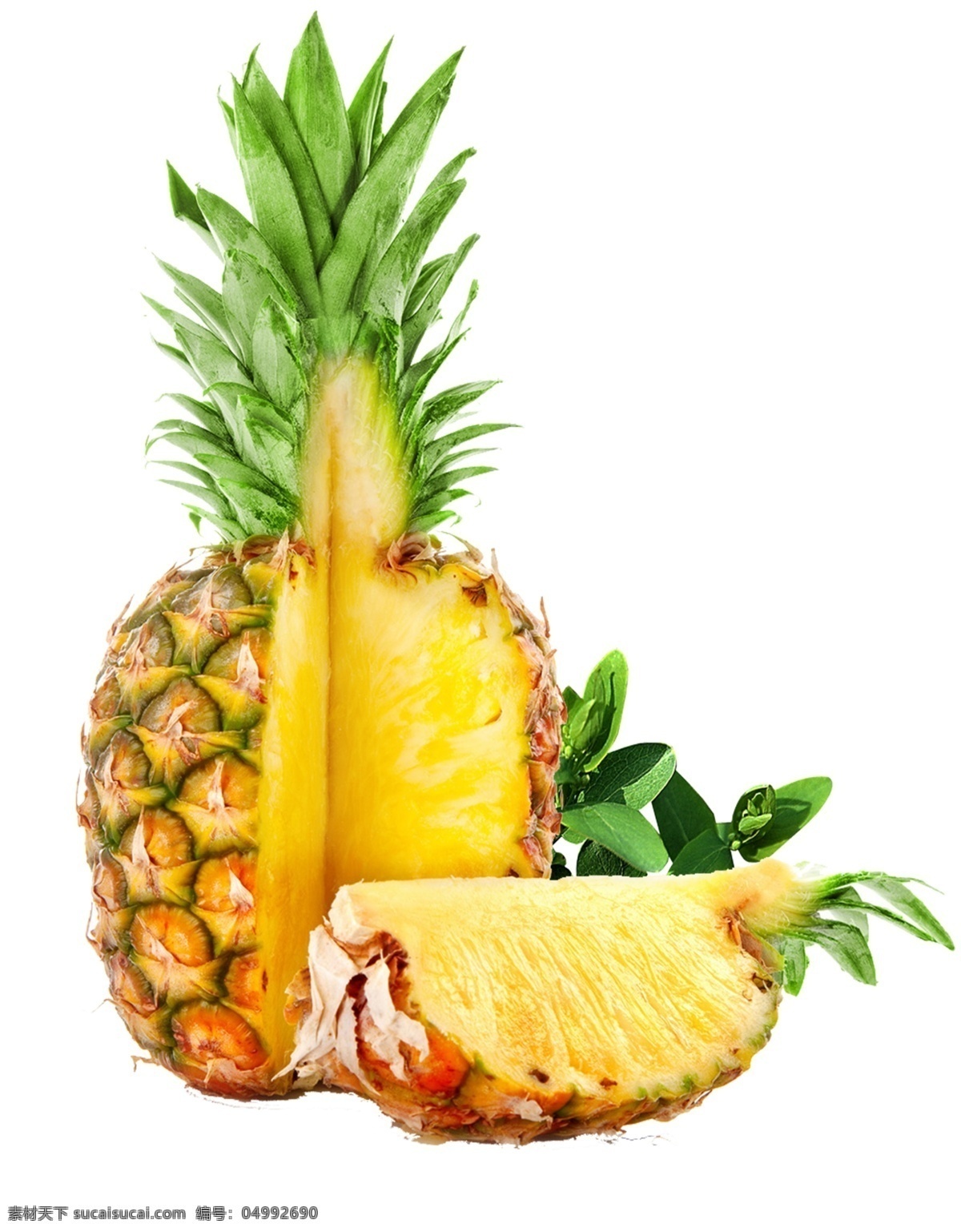 黄色 菠萝 图案 元素 菲律宾凤梨 释迦凤梨 菠萝基地 菠萝节 高清菠萝 海南凤梨 批发菠萝 菠萝专卖 菠萝照片 美味菠萝 超市菠萝