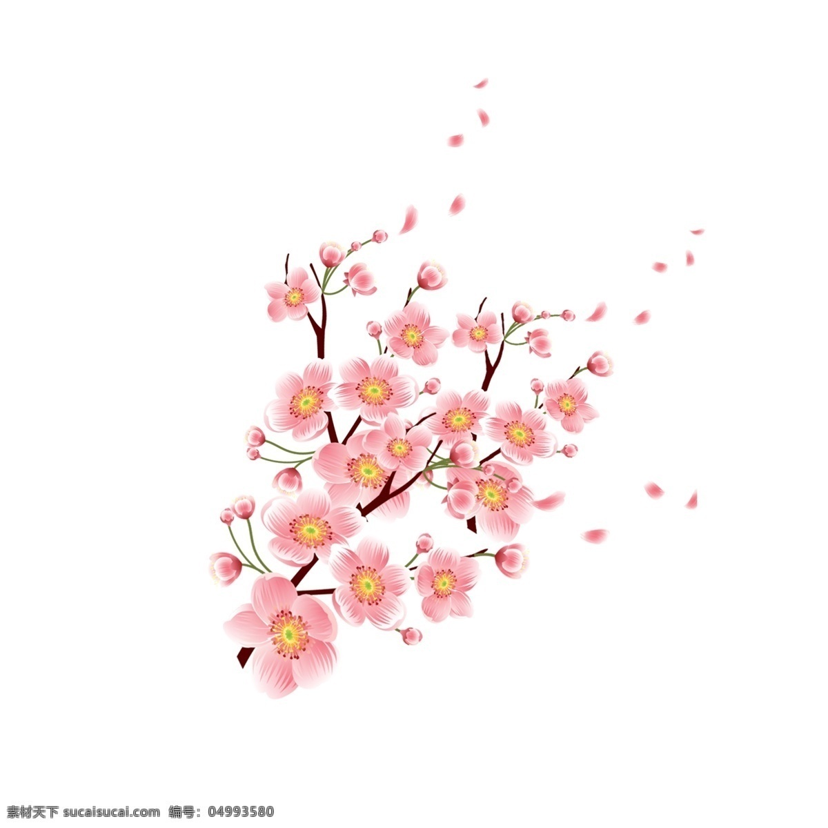 粉色 花枝 图案 元素 简约 桃花 设计元素 花朵 梅花 手绘 装饰图案 手绘元素 psd元素