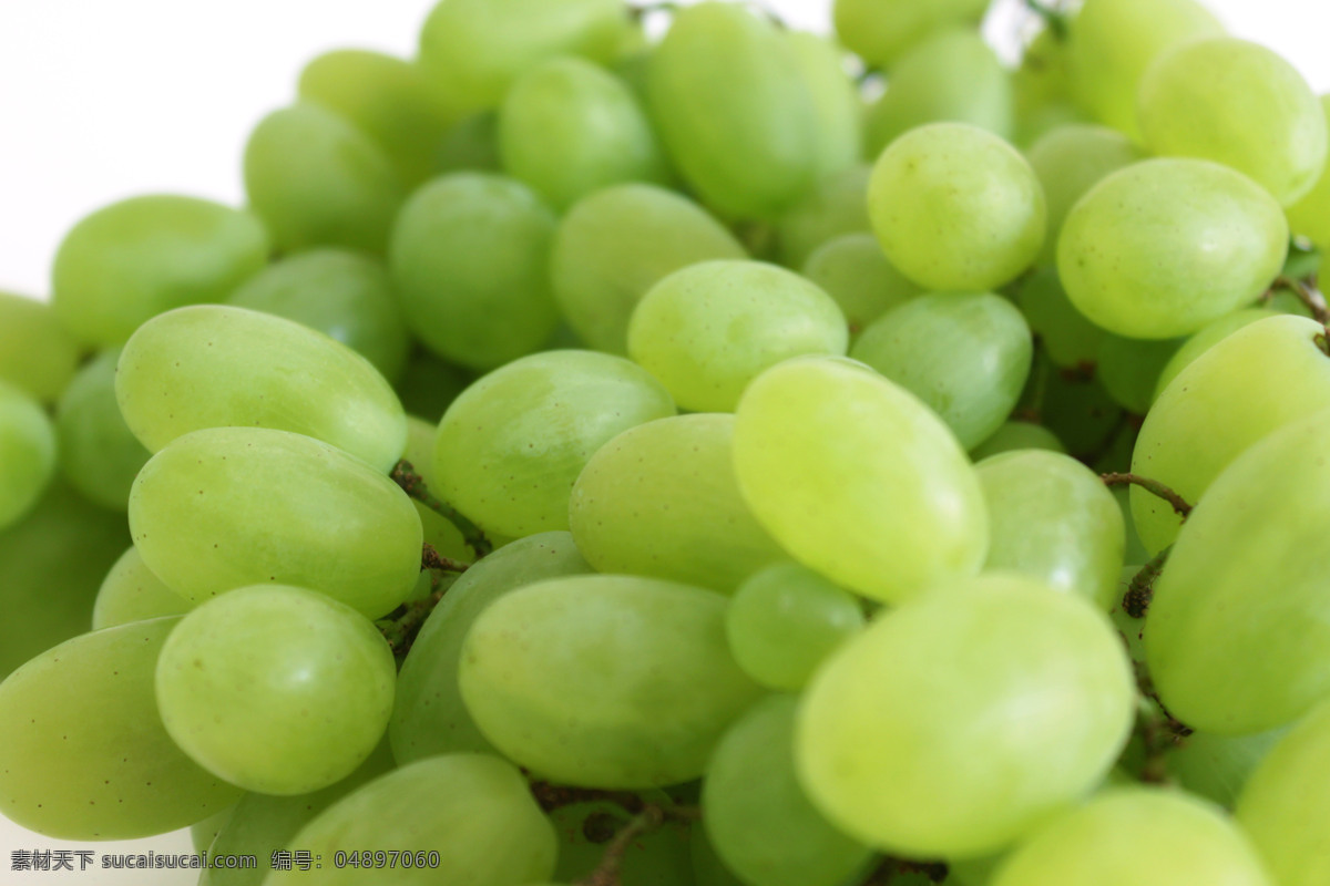 青葡萄 葡萄 青提 水果 新鲜 营养 绿色 绿色水果 青提图片 生物世界