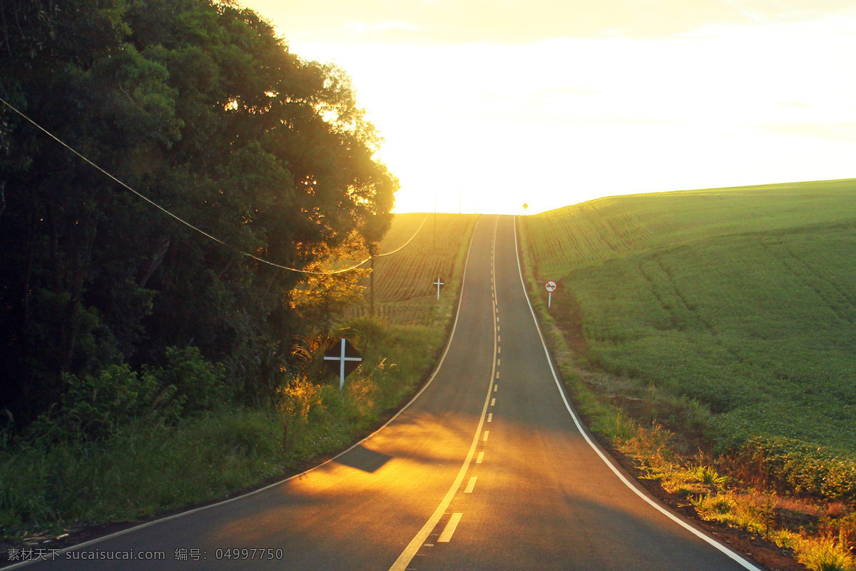 通向远方的路 大陆 远方的路 田野 大道 道路 旅游摄影 自然风景