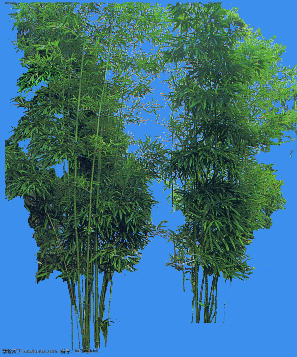 竹子配景图 建筑 效果图 背景 前景 植物 ps 环境设计 园林设计