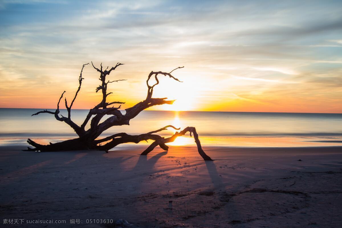 夕阳下的海岸 夕阳 大海 枯木 树木 晚霞 海岸倒影 桌面背景 壁纸 自然景观