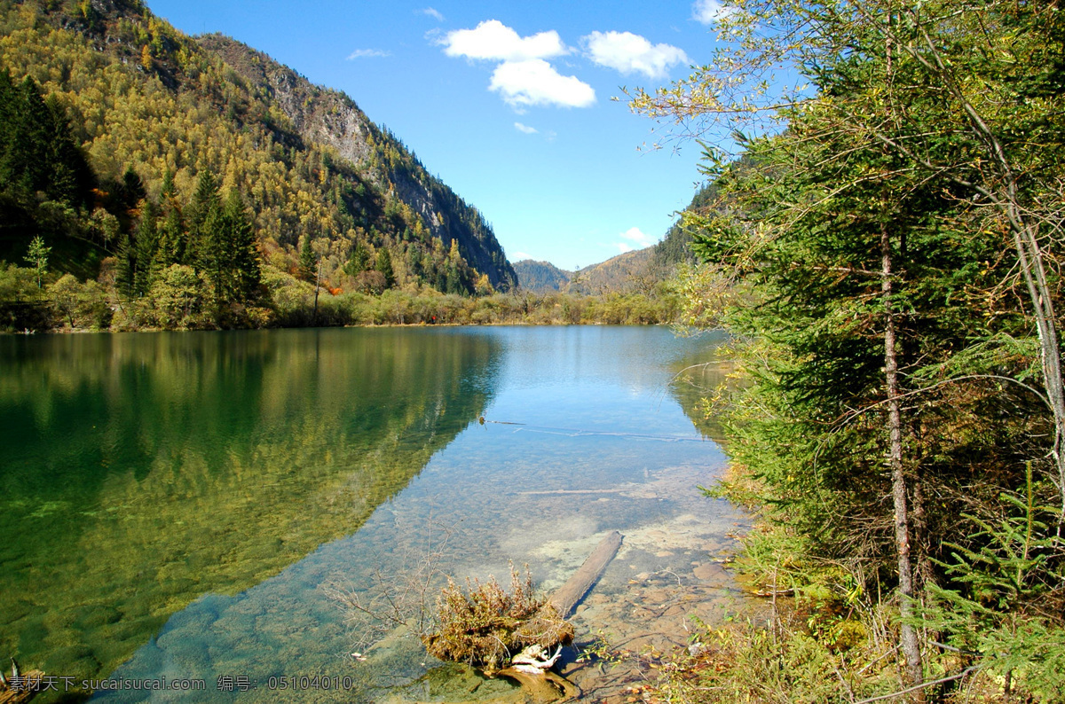 九寨沟风光 九寨沟 湖水 青山绿水 大树 树林 山林 森林 森林公园 四川 生态公园 蓝天白云 生态 自然 山水风景 自然景观