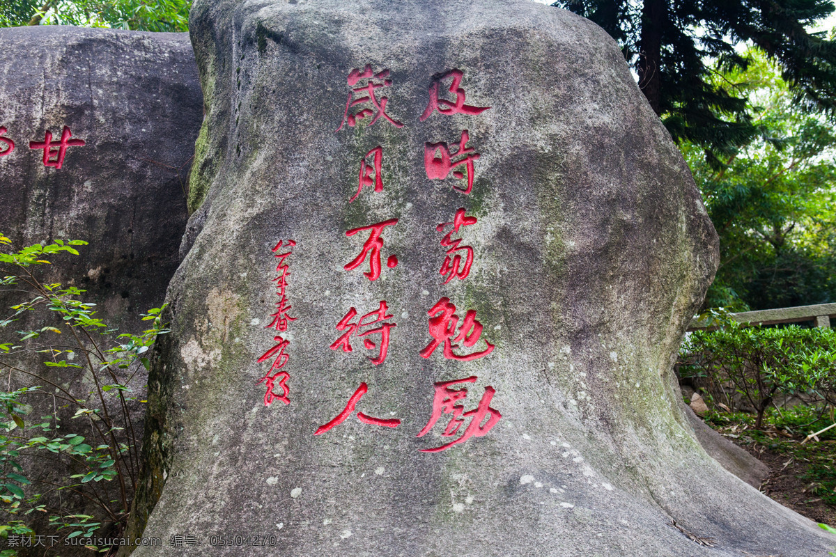 厦门大学 厦大 福建 厦门 大学校园 校园风光 重点大学 旅游 自助游 建筑摄影 国内旅游 旅游摄影 灰色