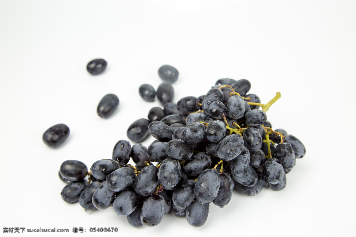 黑提 葡萄 水果 新鲜水果 进口水果 生物世界
