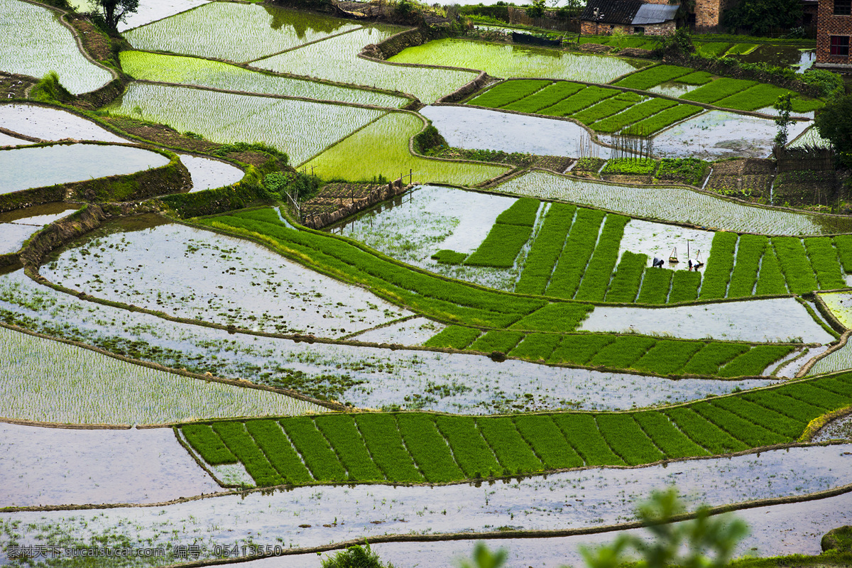 农民 农田 梯田 春耕 耕田 春天 水田 自然景观 田园风光 山水风景