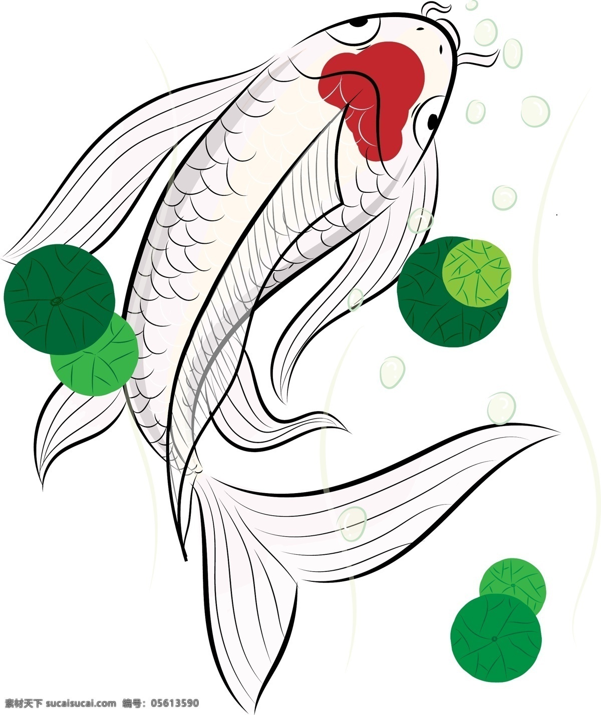 矢量 锦鲤 商用 插画 元素 手绘 红头 喜庆 春节 鲤鱼 鱼