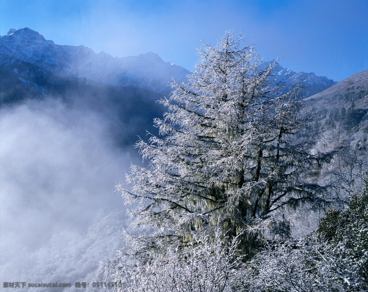 冬天 雪景 大自然 自然风景 美丽风景 美景 景色 风景摄影 旅游景区 旅游风景 旅游奇观 山川 冬天雪景 冬天树木 雪景图片 风景图片