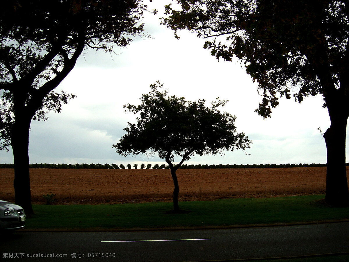 葡萄酒 庄园 葡萄园 远眺 南非 葡萄酒庄园 葡萄种植 风景 生活 旅游餐饮