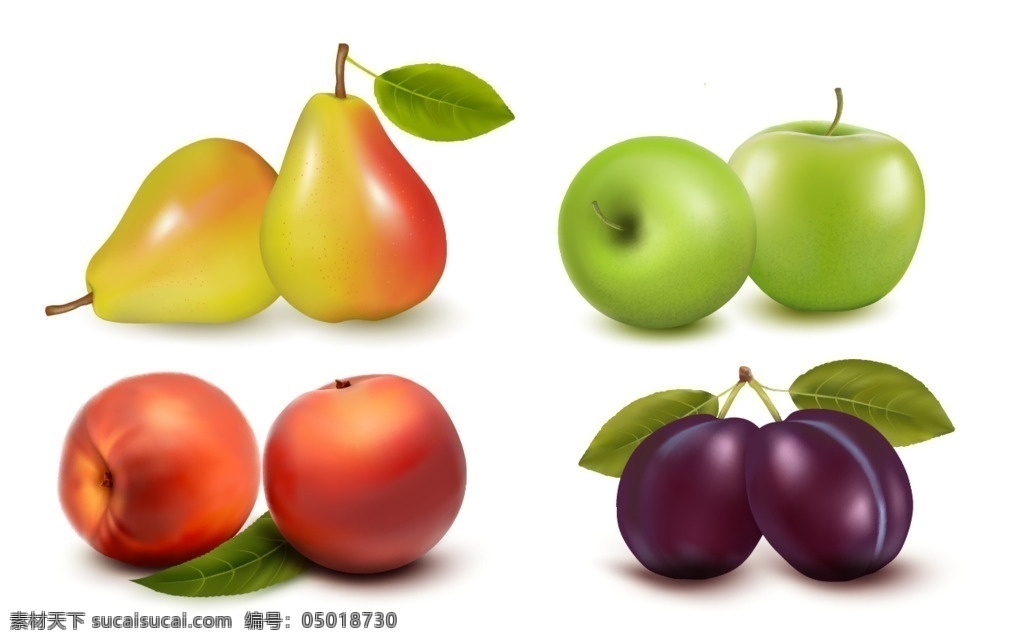 成 双 水果 矢量 果蔬 红苹果 色彩鲜艳 梨 新鲜的水果 文化艺术 绘画书法