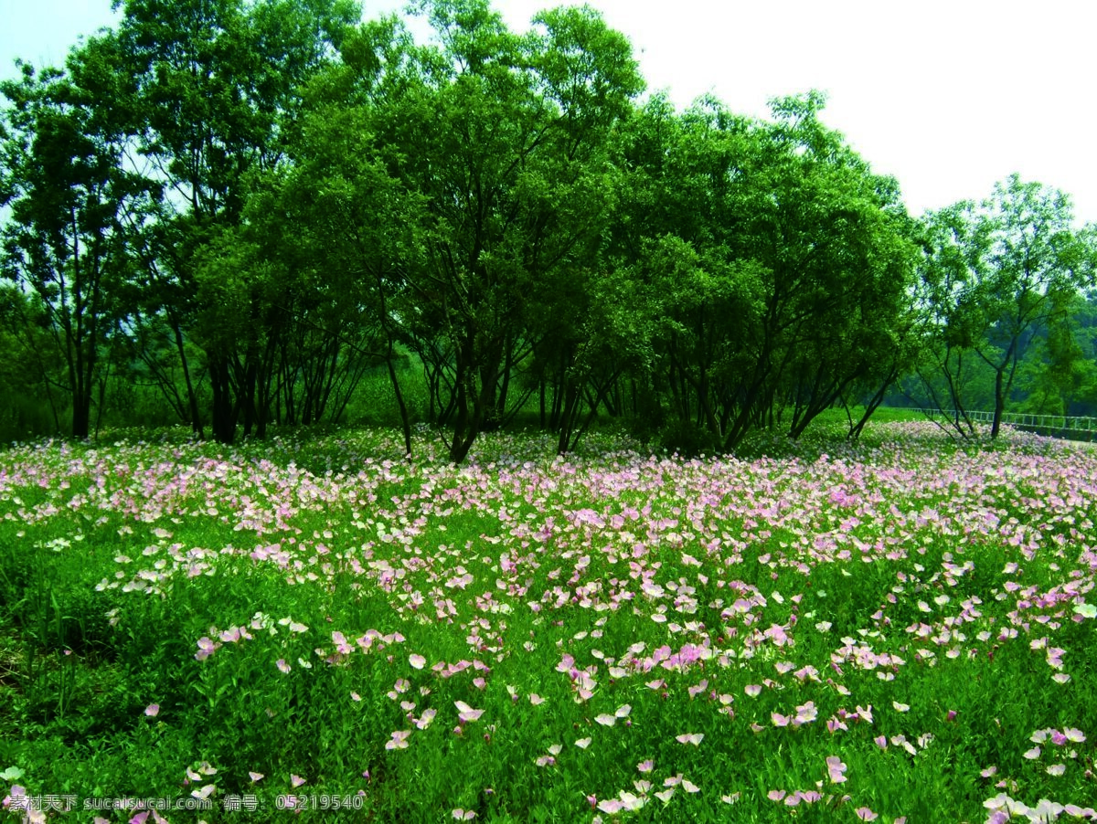 春季 杭州风景 景色 绿化 绿色 生态公园 植物 江洋 畈 生态 公园 江洋畈 水系景观 杭州 园林 金奖 项目 2011 缀花草坪 自然风景 自然景观 psd源文件