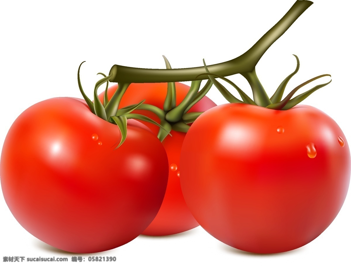 新鲜 有机 蔬菜 番茄 矢量图 透明元素 免扣元素 ai元素
