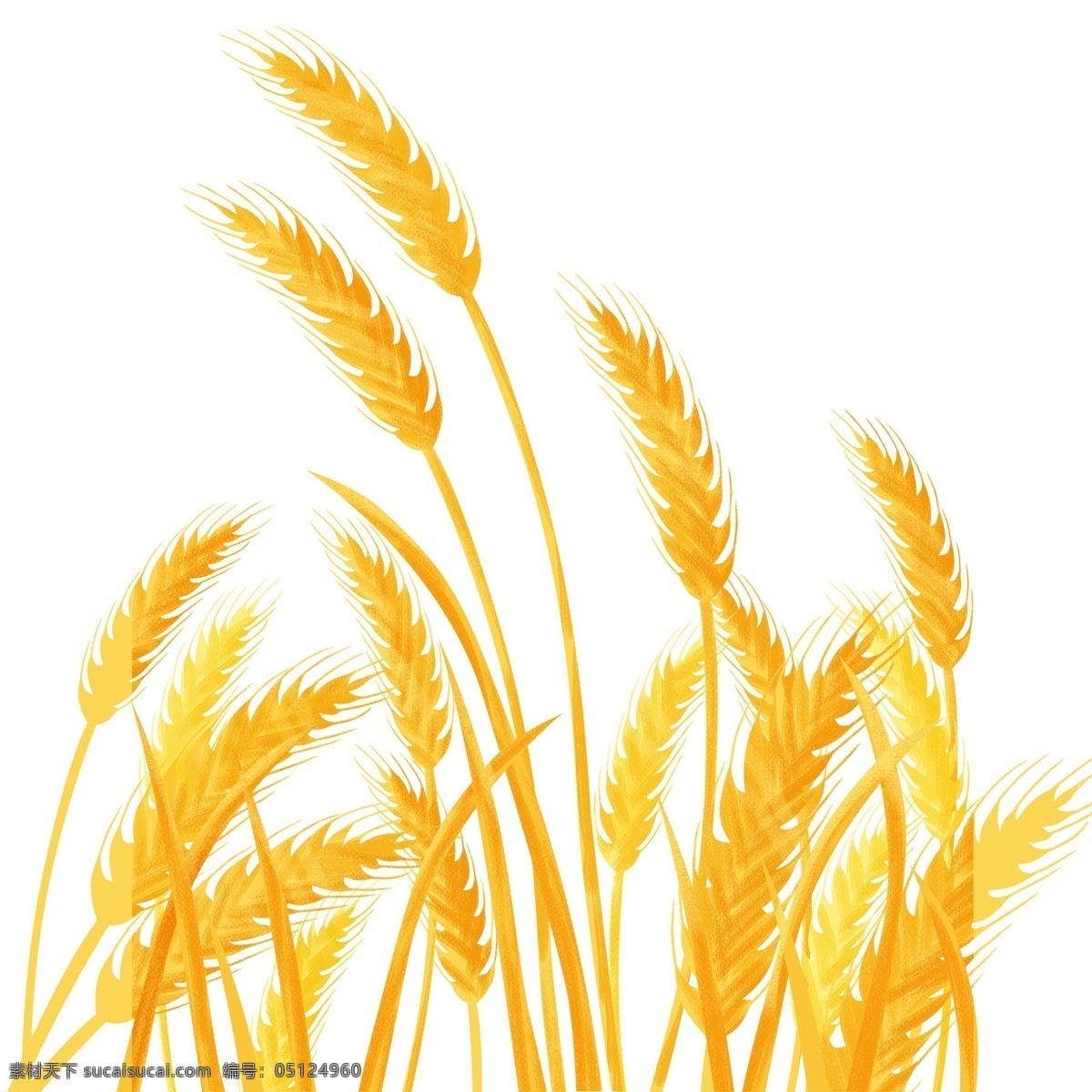 金秋 植物 小麦 插画 卡通 彩色 小清新 创意 手绘 元素 现代 简约 装饰 图案