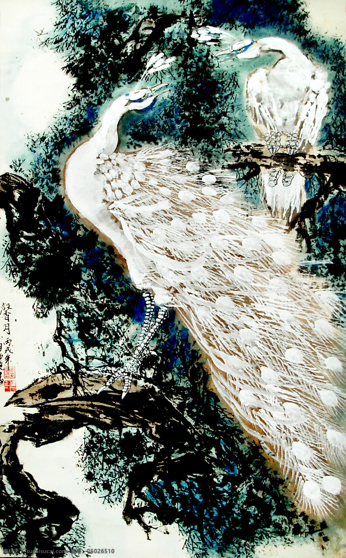 白孔雀 彩墨画 国画艺术 花鸟画 绘画 绘画书法 孔雀 美术 馨月 中国画 鸟 月夜 树木 书法 印章 国画老虎4 文化艺术 装饰素材 雕刻 图案