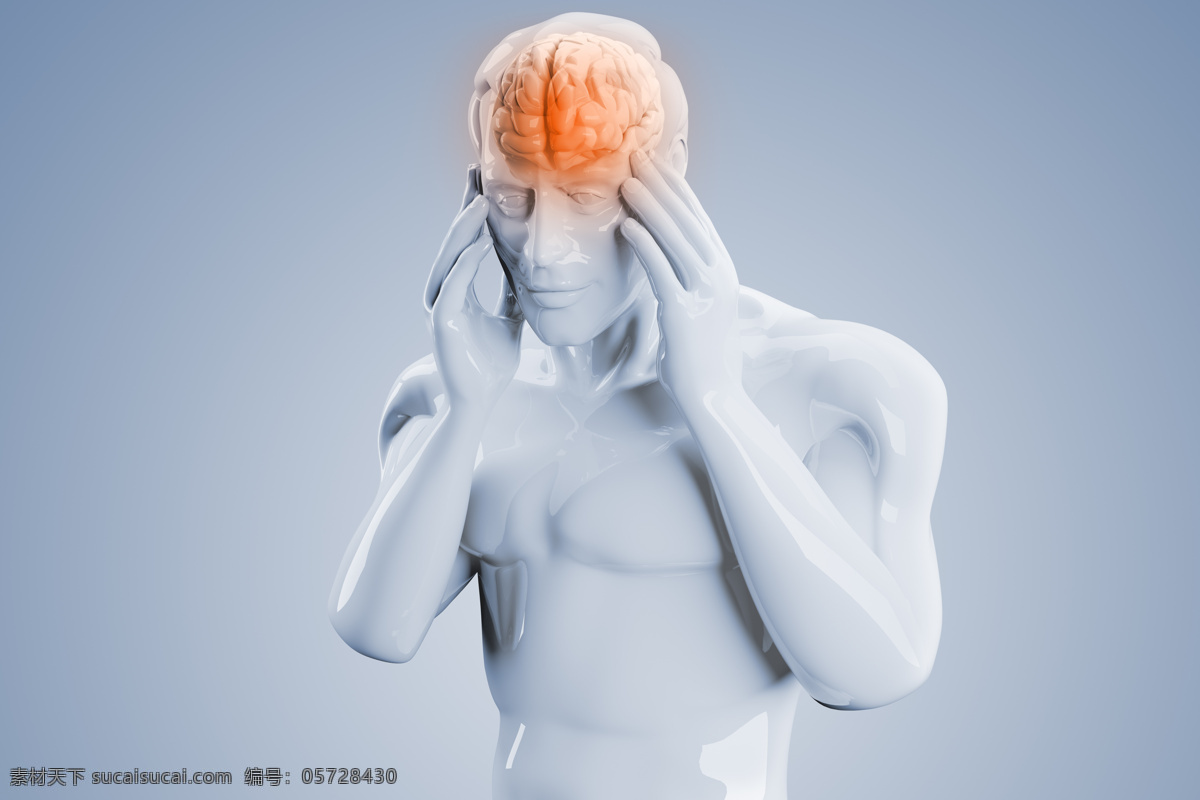 大脑 x 光 图像 透视图 x光 医疗主题 人体 医疗护理 现代科技