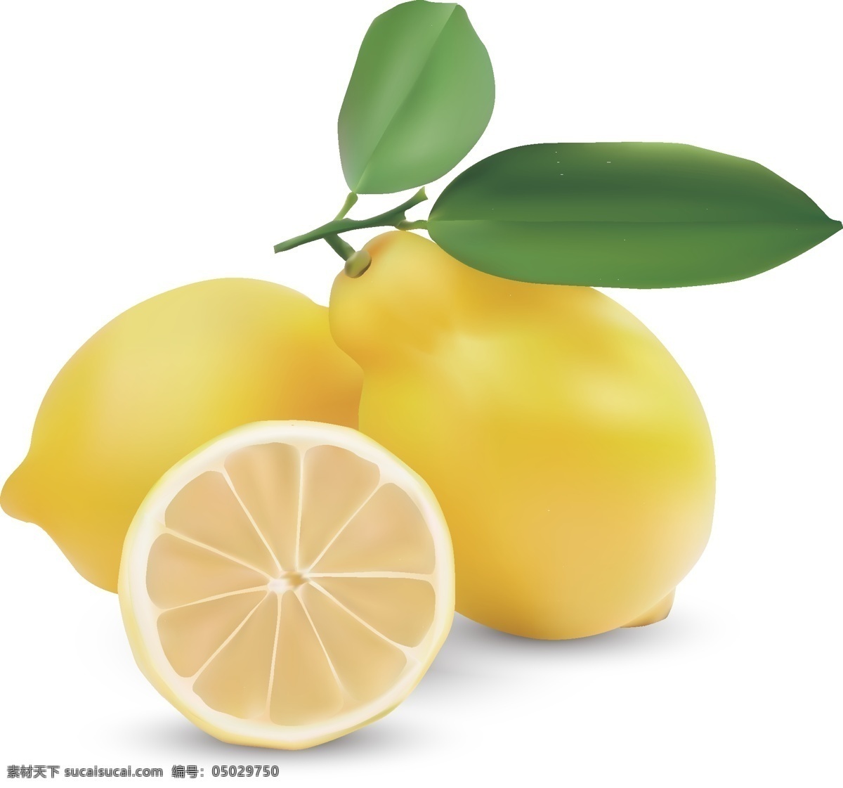 矢量柠檬图片 柠檬 矢量柠檬 水果 黄色柠檬 桃子 矢量黄柠檬 黄柠檬 矢量带叶柠檬 花卉素材