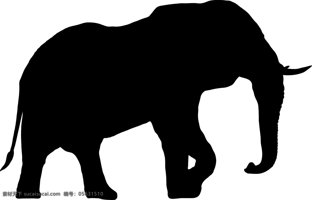 野生动物系列 大象 矢量图 动物世界 大自然 卡通 剪影 户外 野外 标本 图标 标识 标志 动物园 公园 猛兽 丛林 草原 荒野 旷野 elephant 矢量 动物 昆虫类 生物世界 野生动物