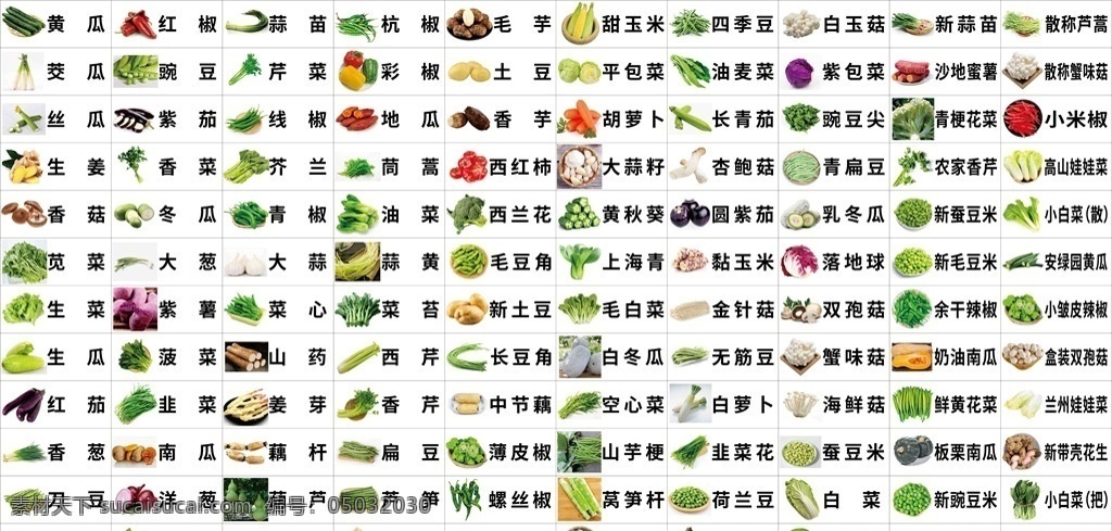 蔬菜品名 蔬菜名称 蔬菜 品名 超市品名 展板模板