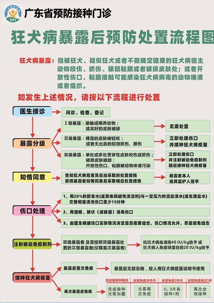 狂犬病 暴露 后 预防 处置 流程图 暴露后 广东省 预防接种门诊 健康教育 展板模板