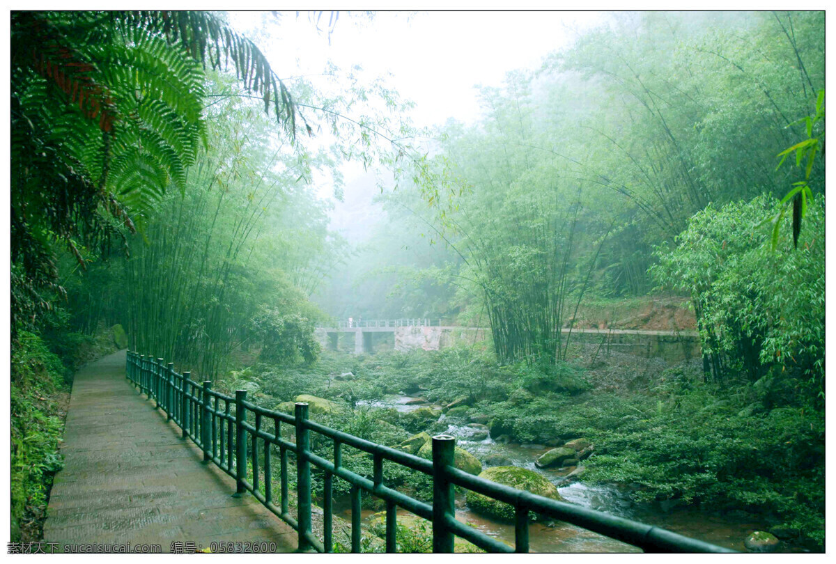 树免费下载 风景 绿色 山水风景 摄影图 树 植物 自然景观 水 家居装饰素材 山水风景画