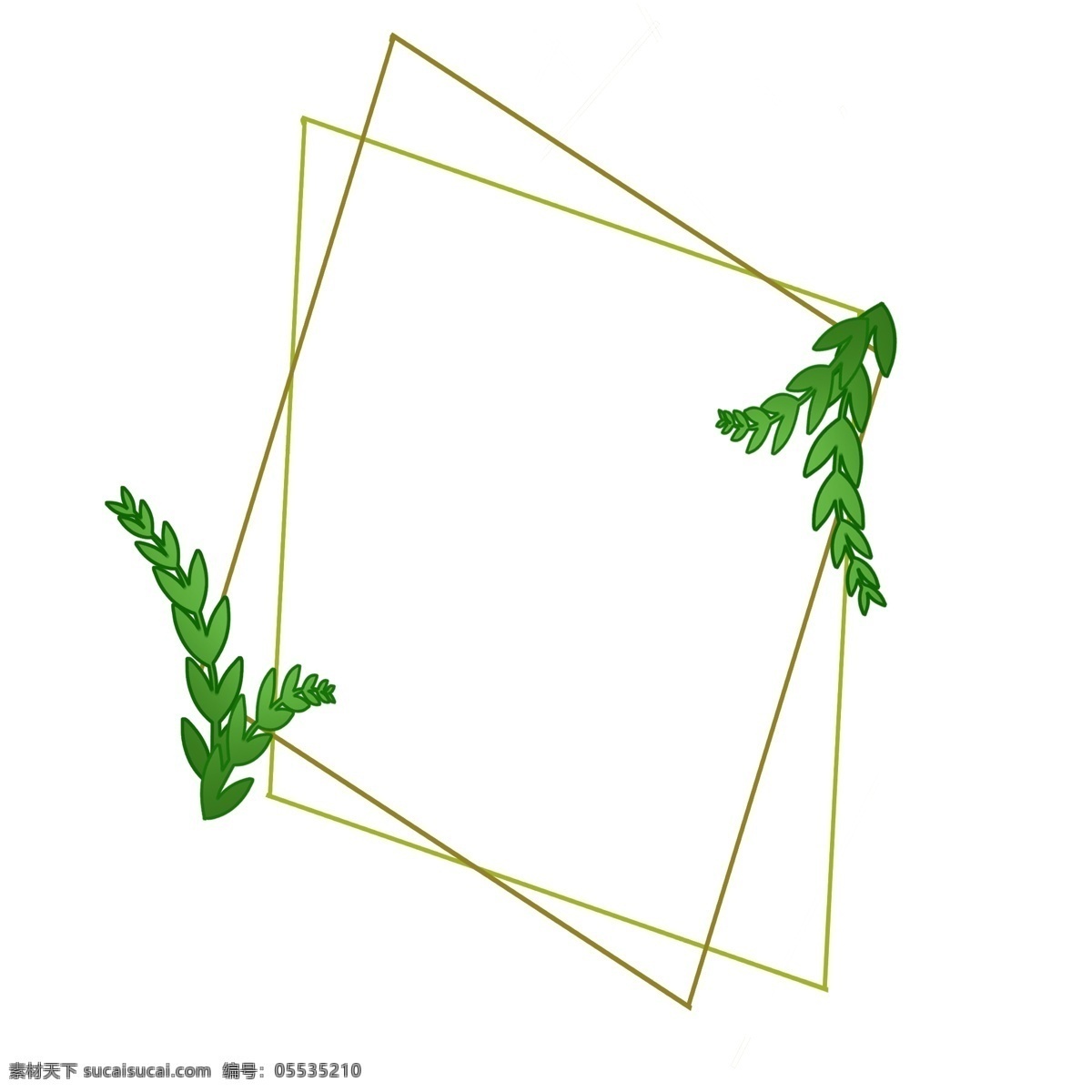 菱形 叶子 边框 插画 线条菱形 植物叶子